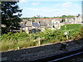 Looking out from Nunhead station