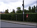 Horse Pond Corner Postbox