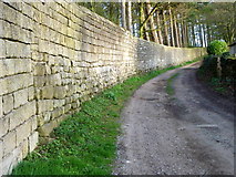 SE2566 : Bridleway near Sawley by Maigheach-gheal