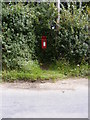 Dog Corner Postbox