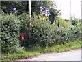 Dog Corner Postbox