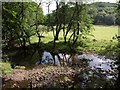 River Washburn at Timble Beck confluence