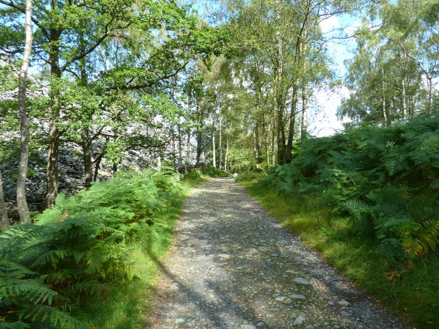 Footpath near Moss Rigg Wood