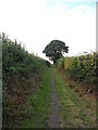 Footpath near Silkstone