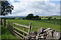 Sheep-grazing land near Eshton Moor