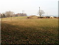 Fences and a hedge in a Wrens Nest Farm field