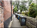 Wheelie bins in Tinker