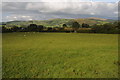 Farmland near Ty-gwyn