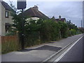 Houses on Midhurst Road, Lavant