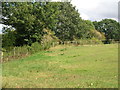 Farmland, Upper Whiston