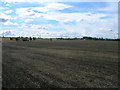 Farmland off Kingsforth Lane