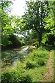 A Pond in Broaks Wood