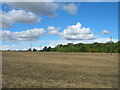 Farmland off Gypsy Lane