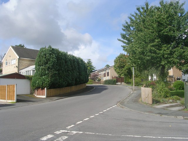 Hoyle Court Road - viewed from Hoyle Court Drive