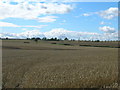 Farmland of Grange Lane