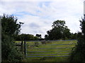 Footpath to Ipswich Road