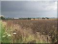 Storm brewing over South Killingholme