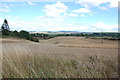 Across Grassland to the Clent Hills