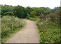 The Sefton Coastal Path, Formby