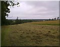 Hayfield along Hammerhill Lane