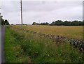 Looking towards Shotleyfield