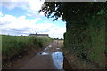 The Barn in a Field