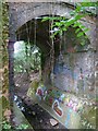 Bridge under the Downs Link near Cranleigh