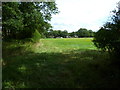 Field south of Cranleigh