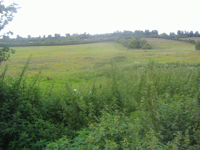 View from North Downs Way, Compton