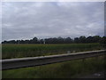 Fields by the A3, approaching Burntcommon