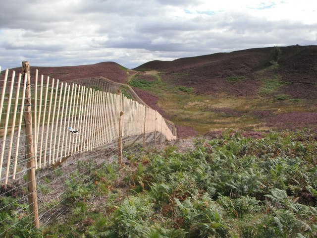 Deer Fence with path across Boggy Seat
