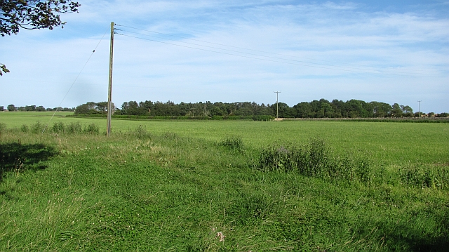 Farmland, Newtonbarns