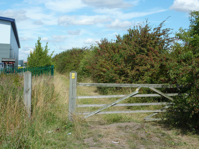 Footpath to White's Wood