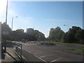 Roundabout on Yanton Way (2)