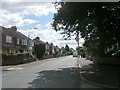 Carlton Avenue - viewed from Woolnough Avenue