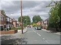 Carlton Avenue - viewed from Woolnough Avenue