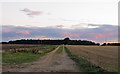 Farm track to Covert, Chelmondiston