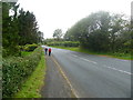 Lane near Hurst Green