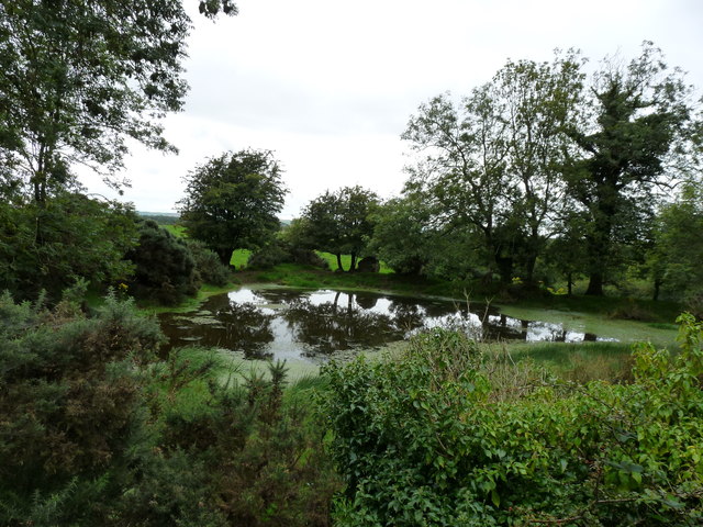 Chlenry Pond