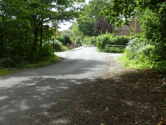 Severals Road approaching Bepton Common from the north