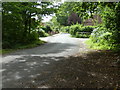 Severals Road approaching Bepton Common from the north