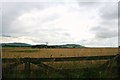 NJ6830 : Wheat Fields by Andrew Wood
