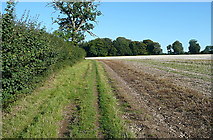 SU7278 : Footpath from Bishopsland Farm by Graham Horn