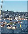 Gig race, Shaldon regatta