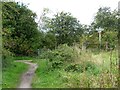 SE3834 : Bridleway and footpath junction by Christine Johnstone