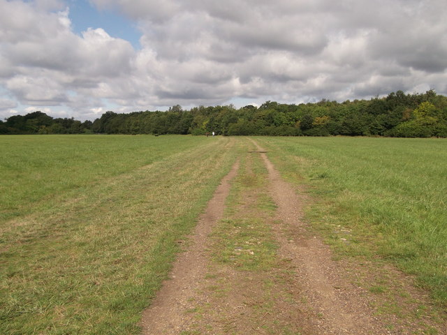 Footpath to Mazzard Wood