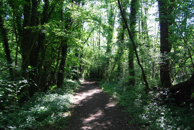 Byway to Winfield Lane