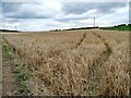 SE3836 : Tracks in the barley by Christine Johnstone