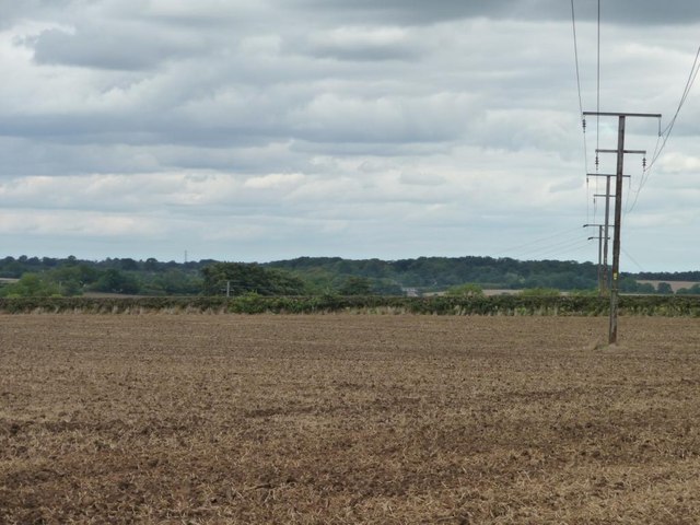 Telegraph wires crossing a bare field
