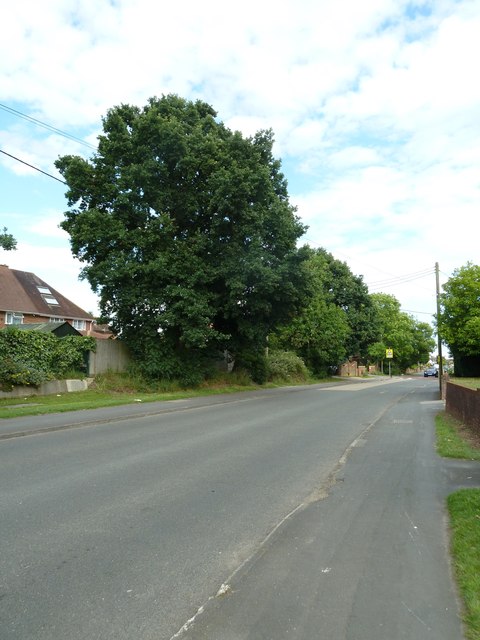 Mid section of Water Lane